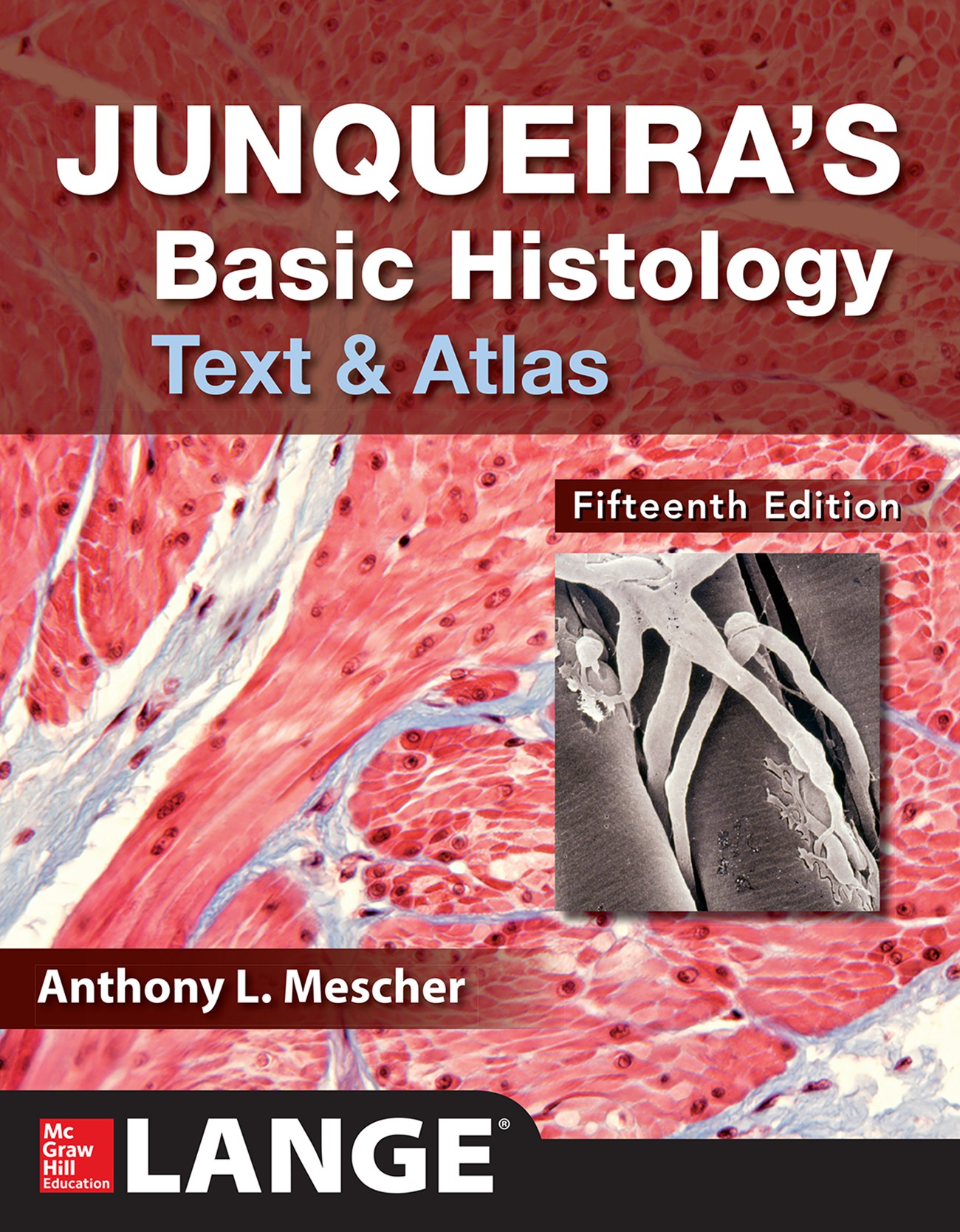 Download junqueira basic histology